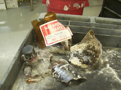 Piranha
